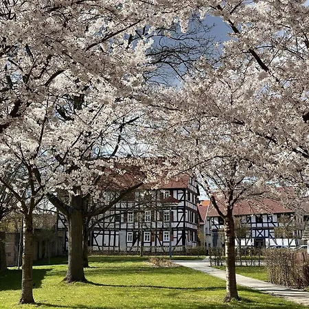 Ferien Im Alten Pfarrhaus Apartment